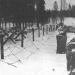 Советско-финская (Зимняя) война: «незнаменитый» конфликт